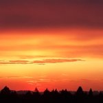 Мандаринчик